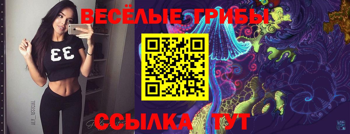 Баксан  Псилоцибиновые грибы MAGIC MUSHROOMS  Галлюциногенные грибы GOLDEN TEACHER  Вход с VPN 