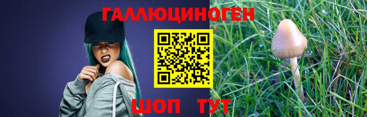 Галлюциногенные грибы Psilocybine cubensis Баксан